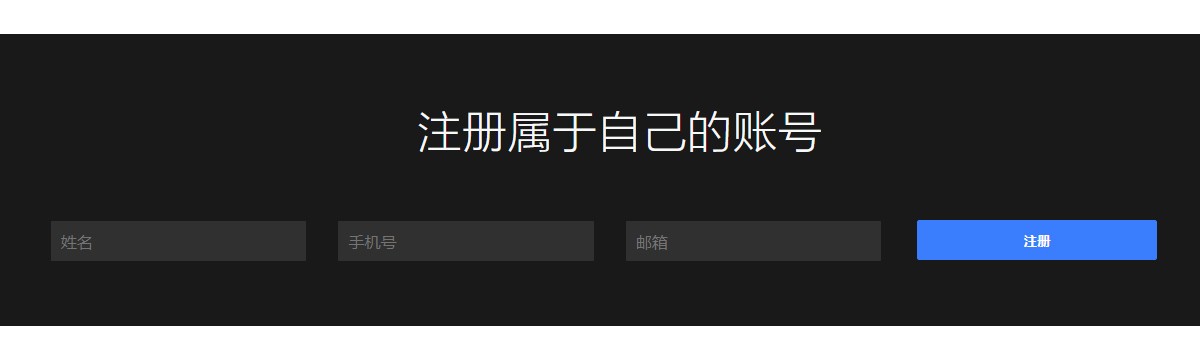 css注册黑色表单样式效果