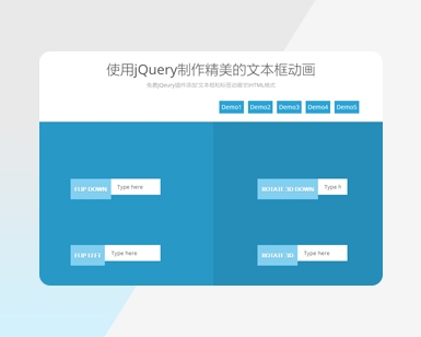 Fancy Textbox动画效果jquery表单代码