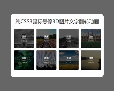 纯CSS3鼠标悬停3D图片文字翻转动画特效